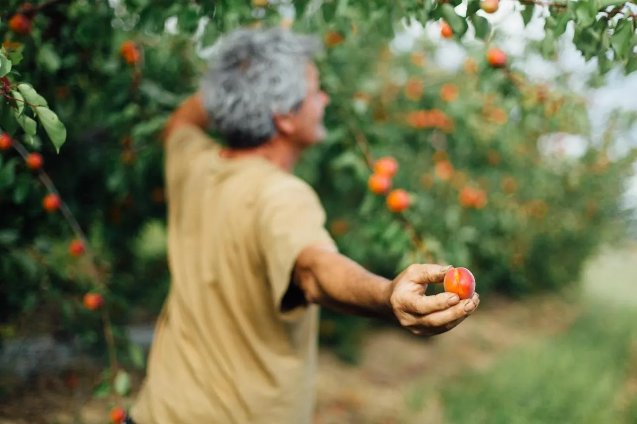 Agriturismo Il Querciolo Grosseto Alloggio per agriturismo