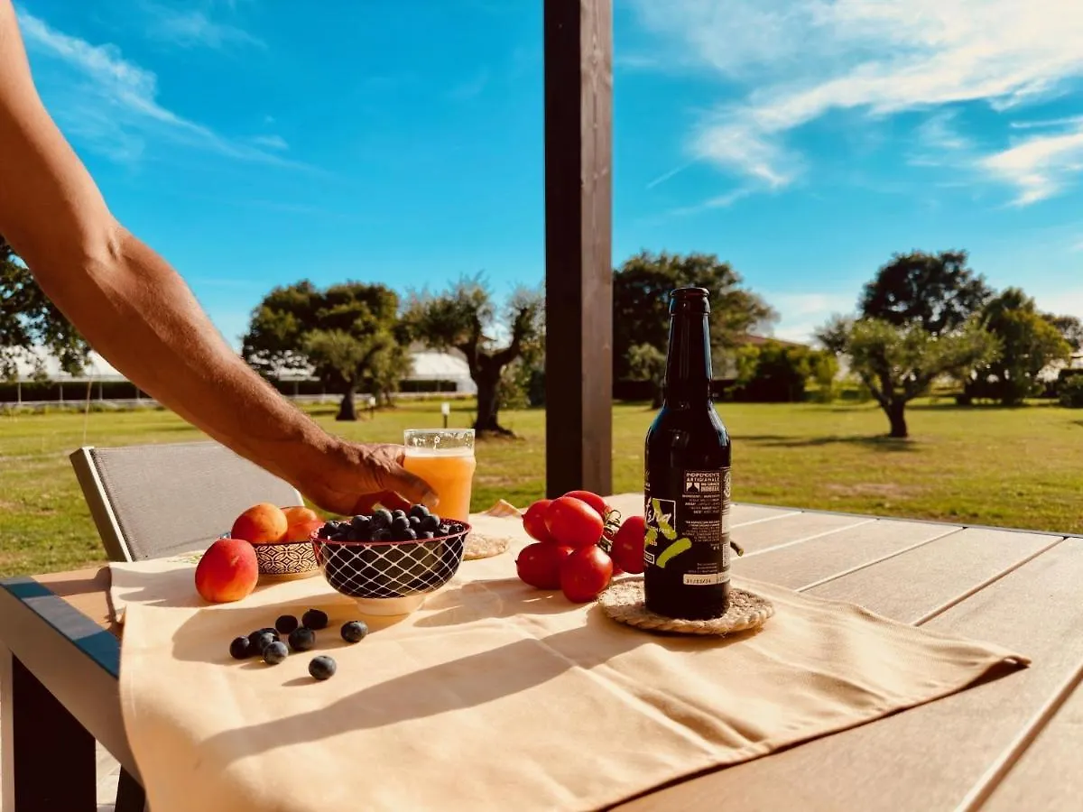 Alloggio per agriturismo Agriturismo Il Querciolo Grosseto Italia